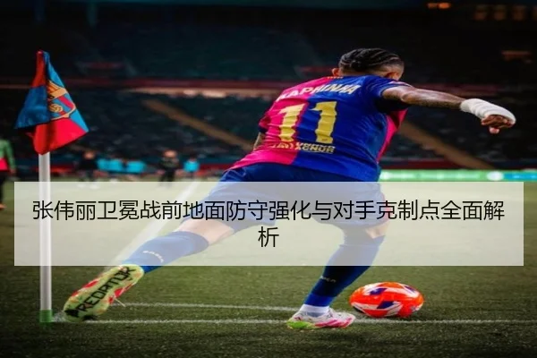 张伟丽卫冕战前地面防守强化与对手克制点全面解析